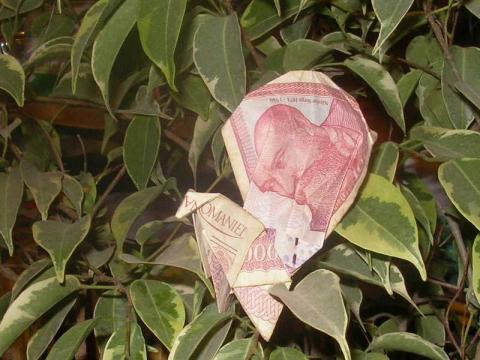 Györfi-Deák Győrgy: Egydolláros páva